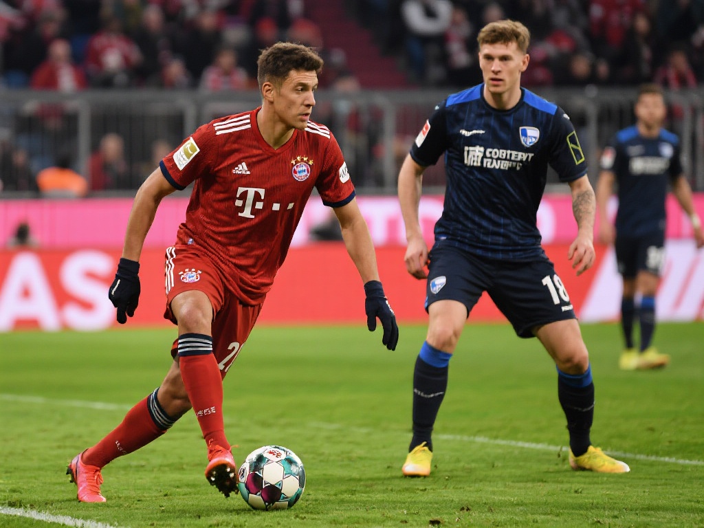 相信平台会 相信平台会